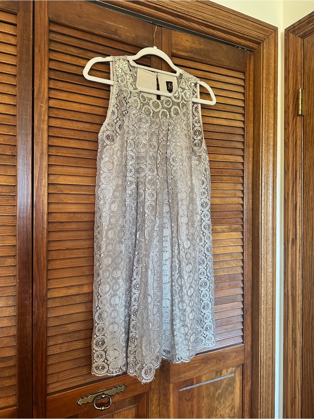 Sachin + Babi for Anthropologie Joyeux champagne silver metallic swing dress - Picture 5 of 11